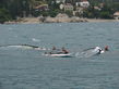 DSC00258.jpg