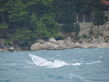 DSC00270.jpg
