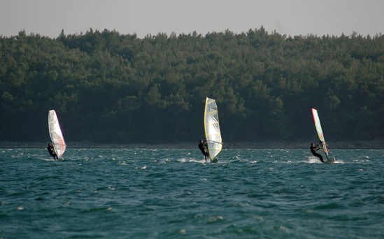 Kliknite da vidite sliku u punoj veli�ini