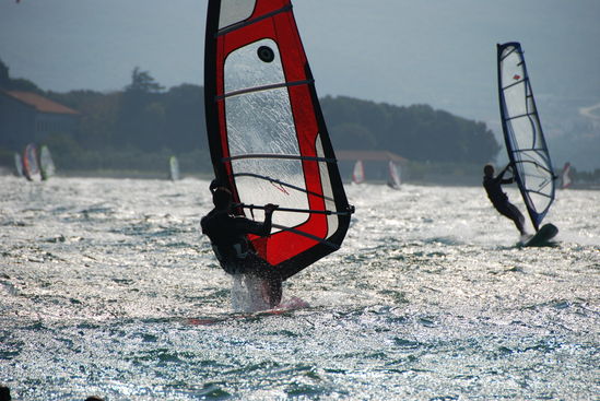 Kliknite da vidite sliku u punoj veli�ini