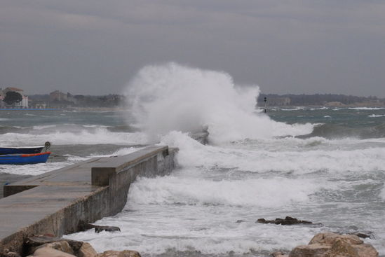 Kliknite da vidite sliku u punoj veli�ini