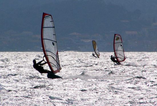 Kliknite da vidite sliku u punoj veli�ini