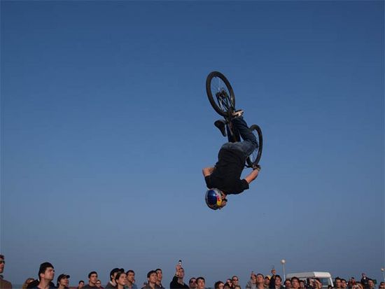 Kliknite da vidite sliku u punoj veli�ini