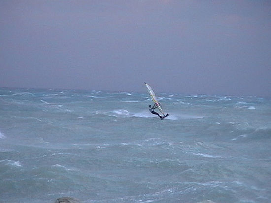 Kliknite da vidite sliku u punoj veli�ini