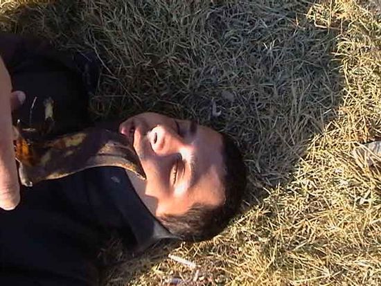 Kliknite da vidite sliku u punoj veli�ini