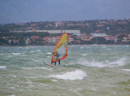 Kliknite da vidite sliku u punoj veli�ini