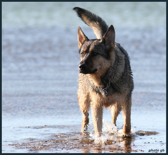 Kliknite da vidite sliku u punoj veli�ini