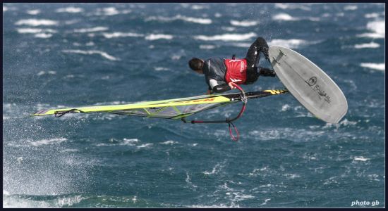 Kliknite da vidite sliku u punoj veli�ini