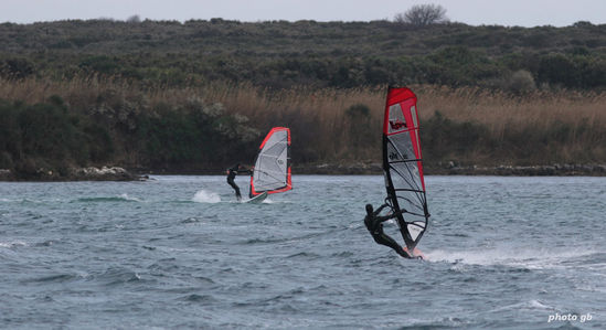 Kliknite da vidite sliku u punoj veli�ini