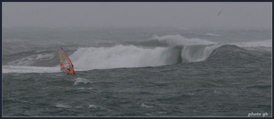 Kliknite da vidite sliku u punoj veli�ini