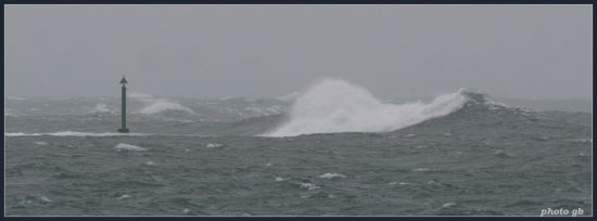 Kliknite da vidite sliku u punoj veli�ini