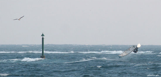 Kliknite da vidite sliku u punoj veli�ini