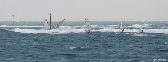 Kliknite da vidite sliku u punoj veli�ini