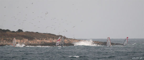 Kliknite da vidite sliku u punoj veli�ini