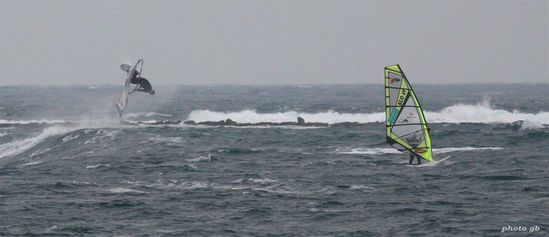 Kliknite da vidite sliku u punoj veli�ini