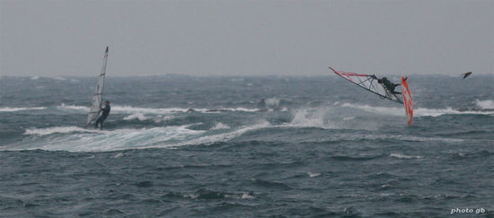 Kliknite da vidite sliku u punoj veli�ini