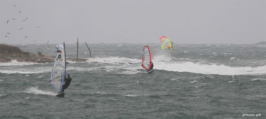 Kliknite da vidite sliku u punoj veli�ini