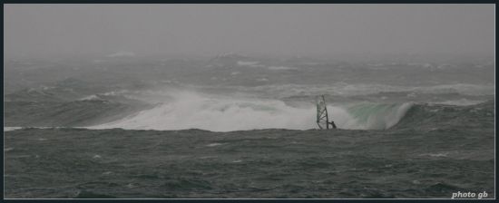 Kliknite da vidite sliku u punoj veli�ini