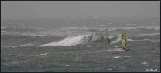 Kliknite da vidite sliku u punoj veli�ini