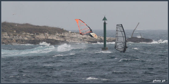 Kliknite da vidite sliku u punoj veli�ini