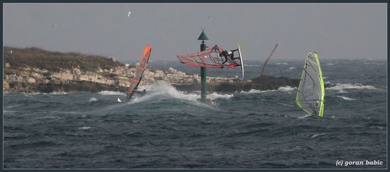 Kliknite da vidite sliku u punoj veli�ini