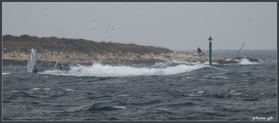 Kliknite da vidite sliku u punoj veli�ini