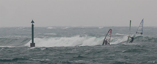 Kliknite da vidite sliku u punoj veli�ini