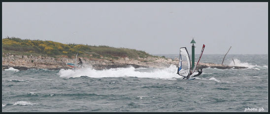 Kliknite da vidite sliku u punoj veli�ini