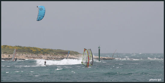 Kliknite da vidite sliku u punoj veli�ini