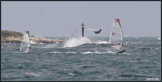 Kliknite da vidite sliku u punoj veli�ini