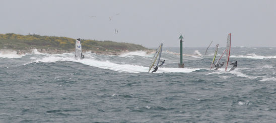 Kliknite da vidite sliku u punoj veli�ini