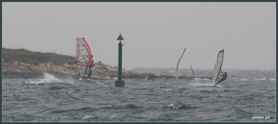 Kliknite da vidite sliku u punoj veli�ini