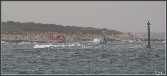 Kliknite da vidite sliku u punoj veli�ini