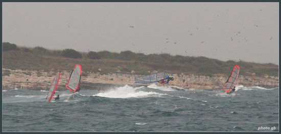 Kliknite da vidite sliku u punoj veli�ini