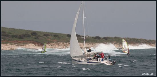 Kliknite da vidite sliku u punoj veli�ini