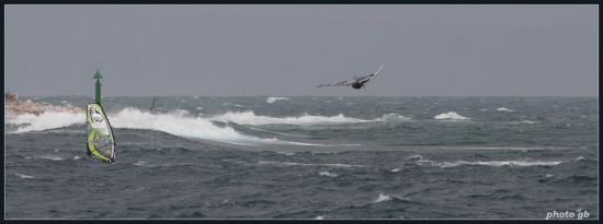 Kliknite da vidite sliku u punoj veli�ini