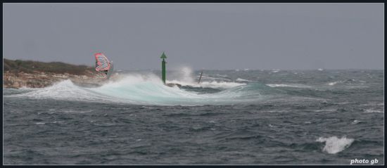 Kliknite da vidite sliku u punoj veli�ini