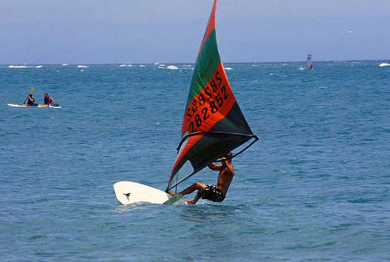 Kliknite da vidite sliku u punoj veli�ini