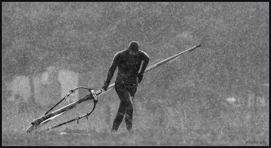 Kliknite da vidite sliku u punoj veli�ini