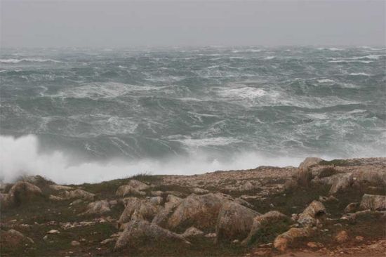 Kliknite da vidite sliku u punoj veli�ini