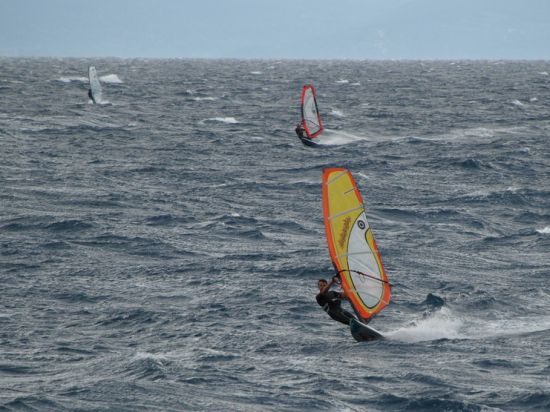 Kliknite da vidite sliku u punoj veli�ini