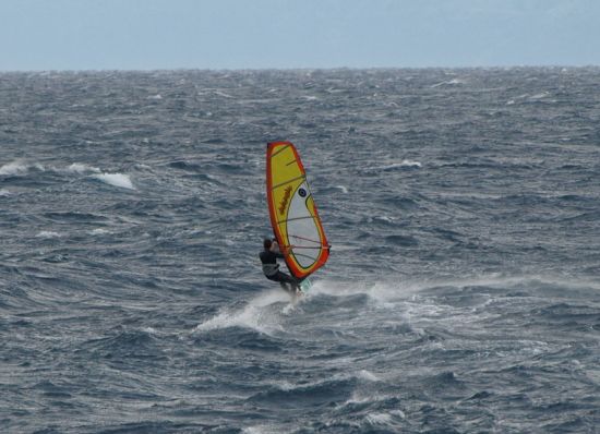 Kliknite da vidite sliku u punoj veli�ini