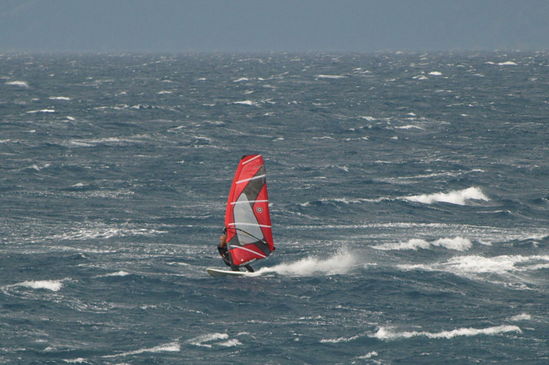 Kliknite da vidite sliku u punoj veli�ini