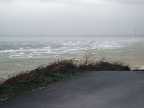 Kliknite da vidite sliku u punoj veli�ini