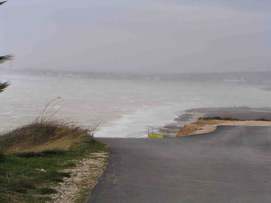 Kliknite da vidite sliku u punoj veli�ini