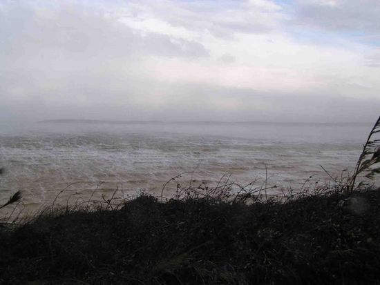 Kliknite da vidite sliku u punoj veli�ini