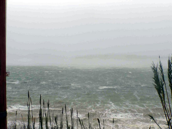 Kliknite da vidite sliku u punoj veli�ini