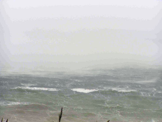 Kliknite da vidite sliku u punoj veli�ini