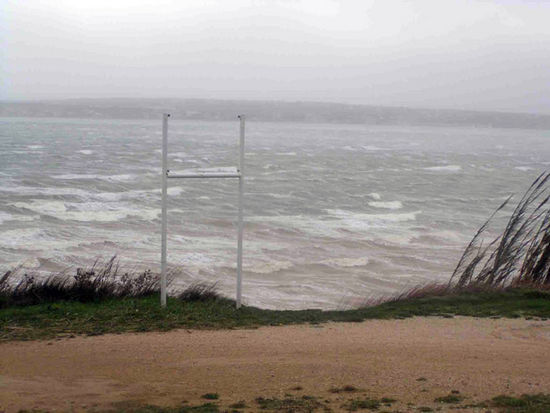 Kliknite da vidite sliku u punoj veli�ini