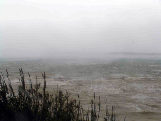 Kliknite da vidite sliku u punoj veli�ini